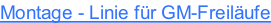 Montage - Linie für GM-Freiläufe