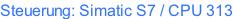 Steuerung: Simatic S7 / CPU 313
